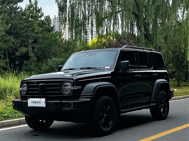 2025 TANK 300