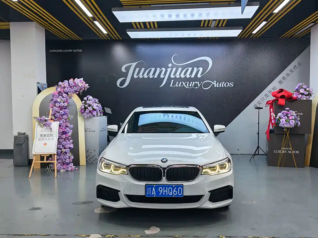 BMW 5 Series — миниатюра 2