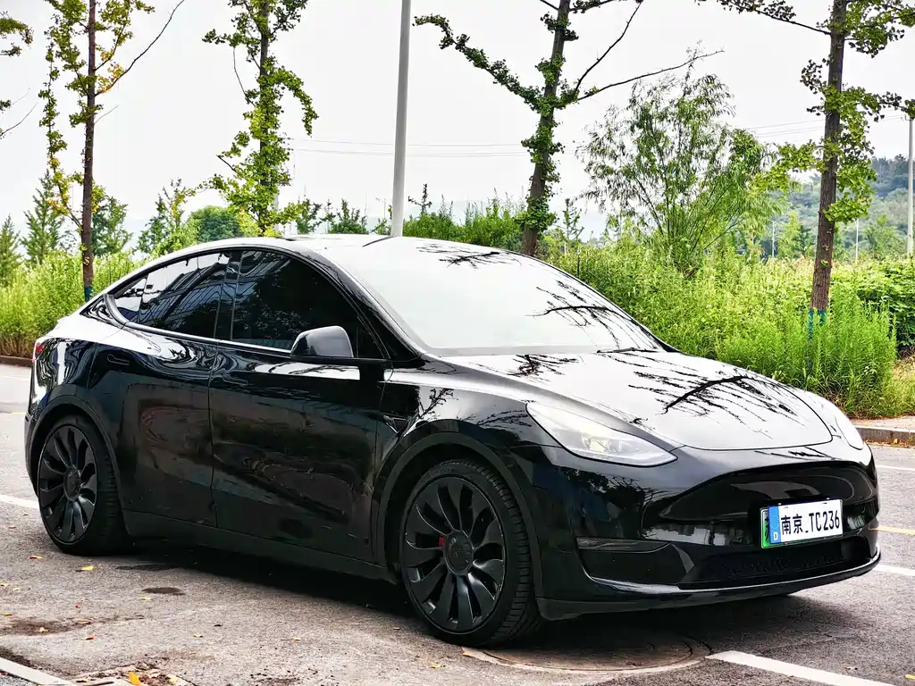 Tesla Model Y — миниатюра 5