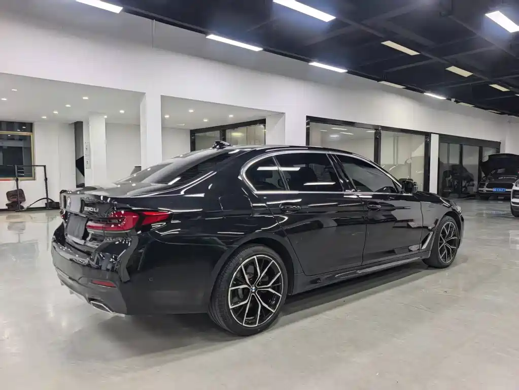 BMW 5 Series — миниатюра 5