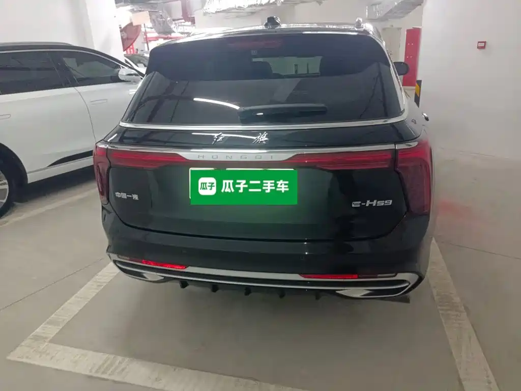 Hongqi Hongqi E-HS9 — миниатюра 5