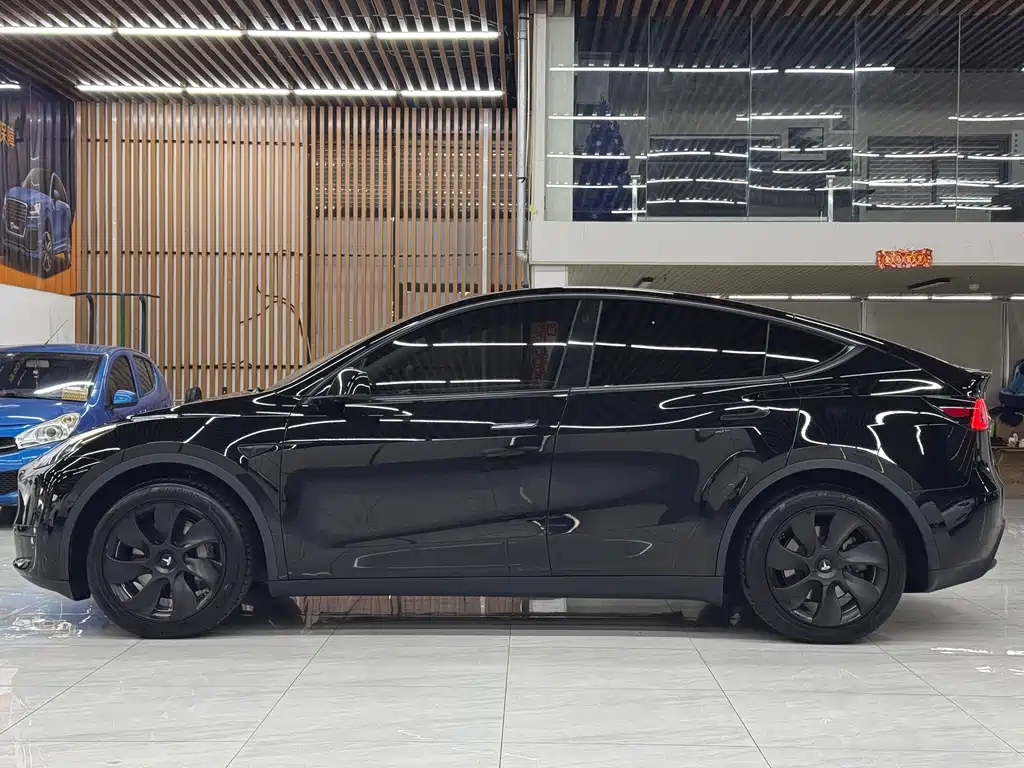 Tesla Model Y — миниатюра 3