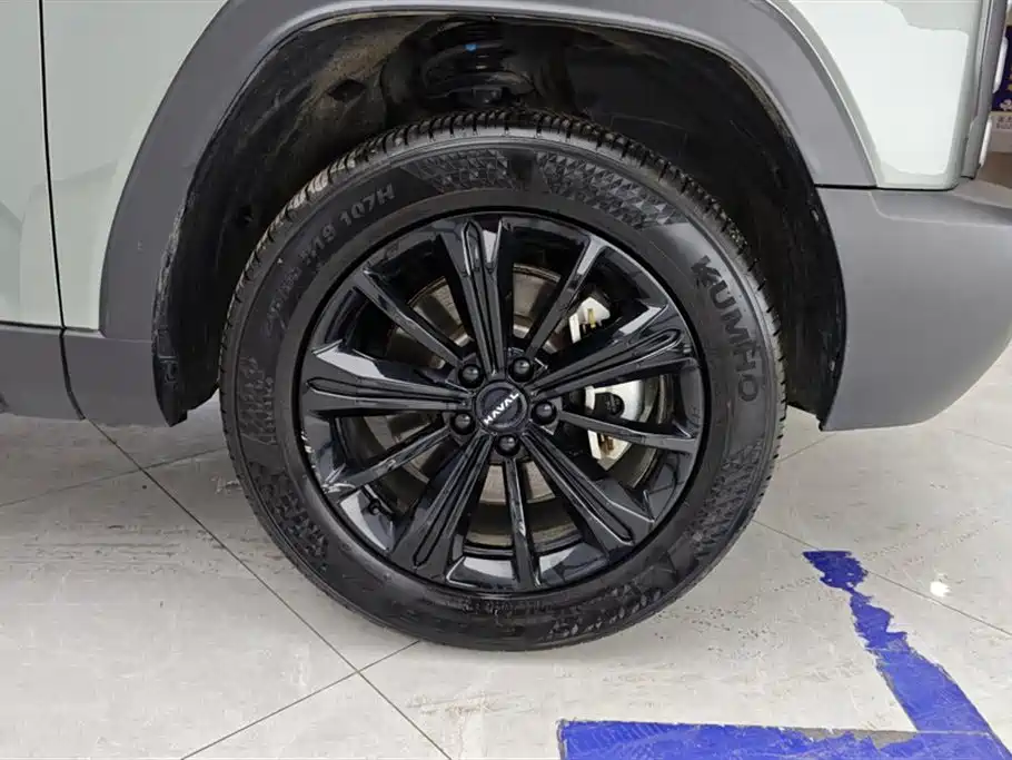 HAVAL RAPTORS NEW ENERGY