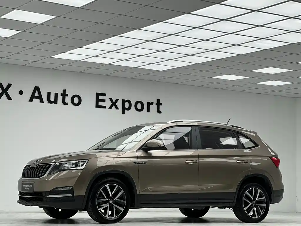Skoda Kamiq — миниатюра 22
