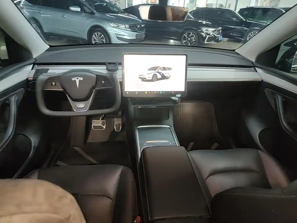 Tesla Model Y — миниатюра 10