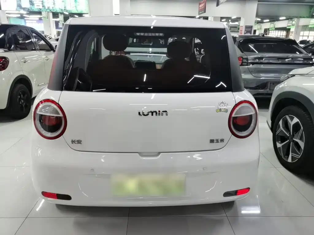 Qiyuan Lumin — миниатюра 6