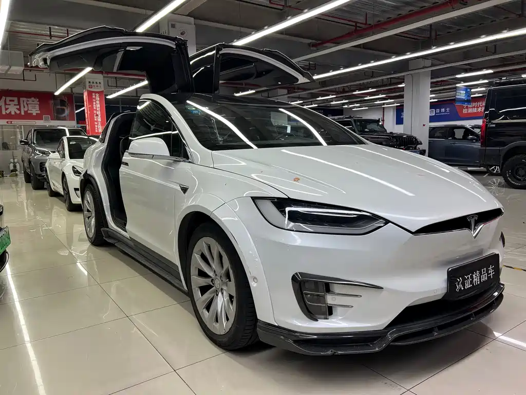 Tesla Model X — миниатюра 8