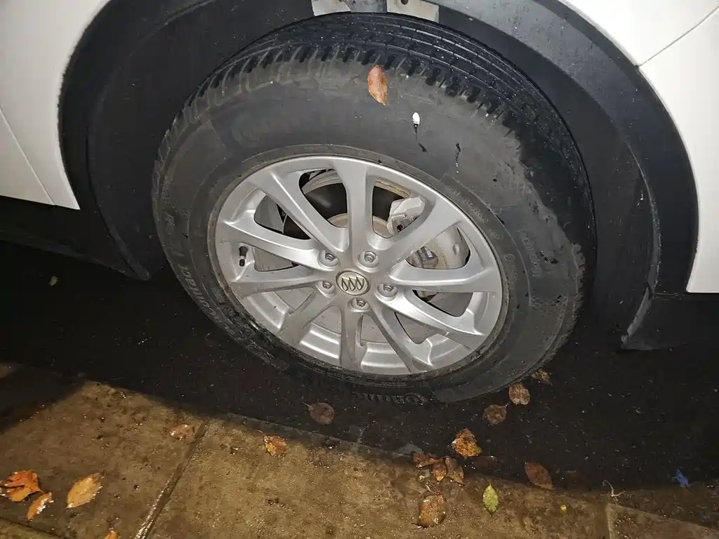Buick Envision Plus — миниатюра 24