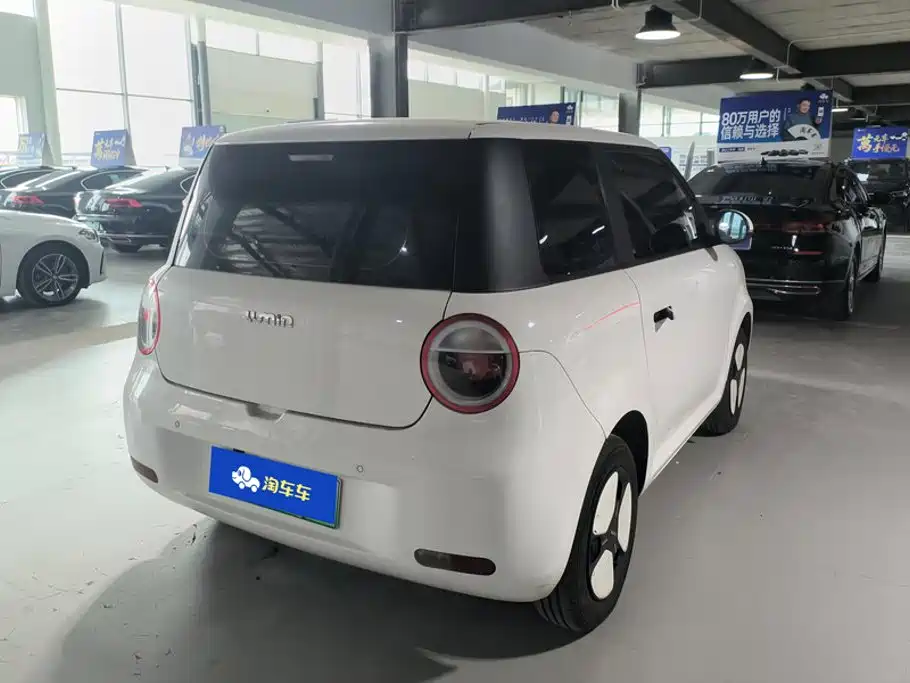 Qiyuan Lumin — миниатюра 3