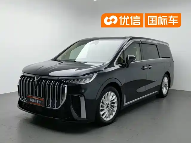 2023 Voyah Dream