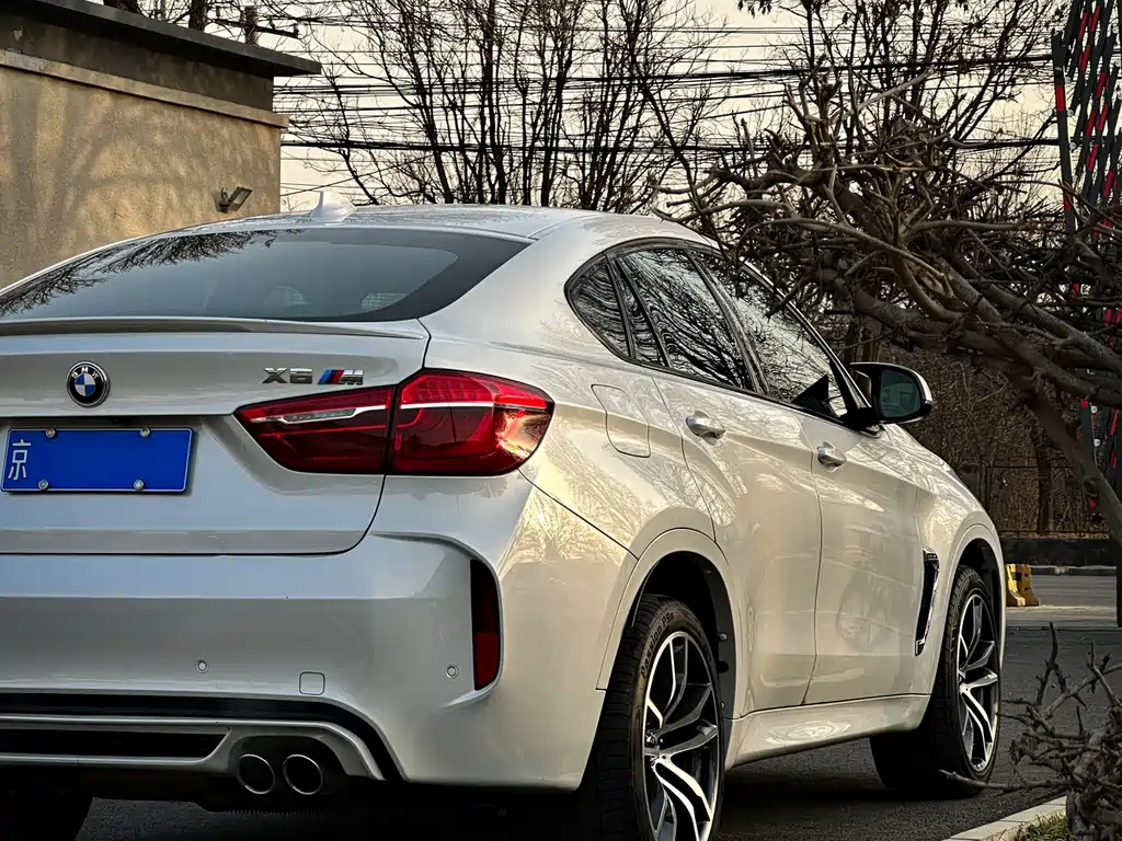 BMW X6 M