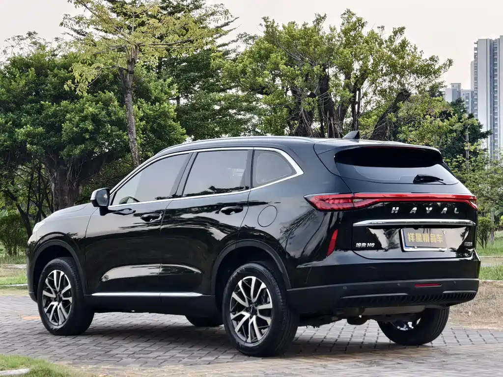 Haval H6 — миниатюра 14