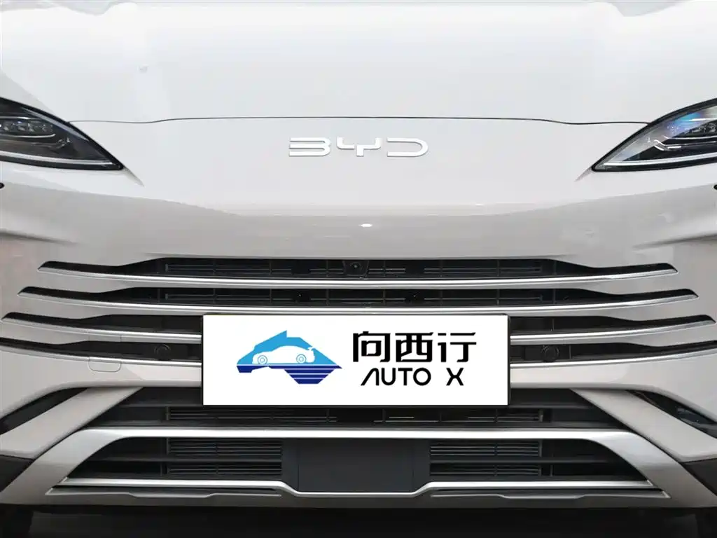 BYD SONGJIANG NEW ENERGY