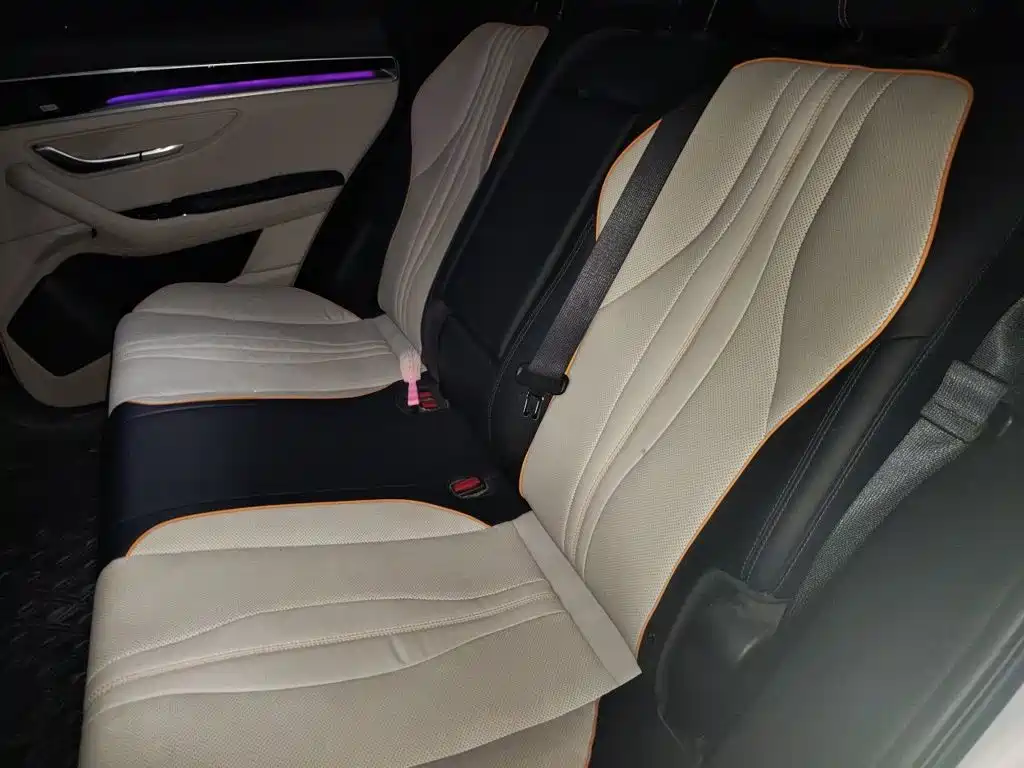 BYD PLUS New Energy — миниатюра 13