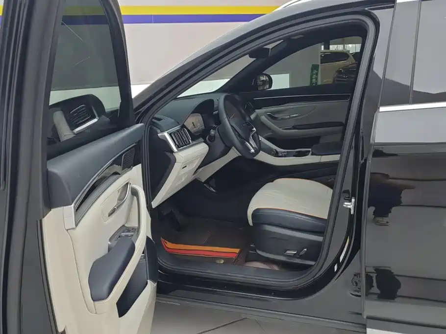 BYD PLUS New Energy — миниатюра 9