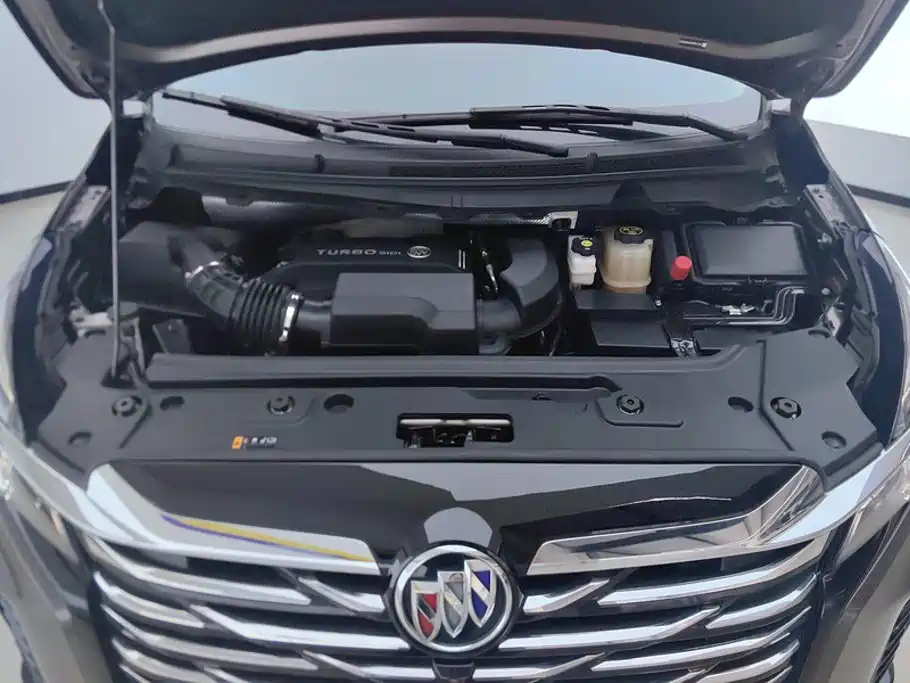 Buick GL8 — миниатюра 10