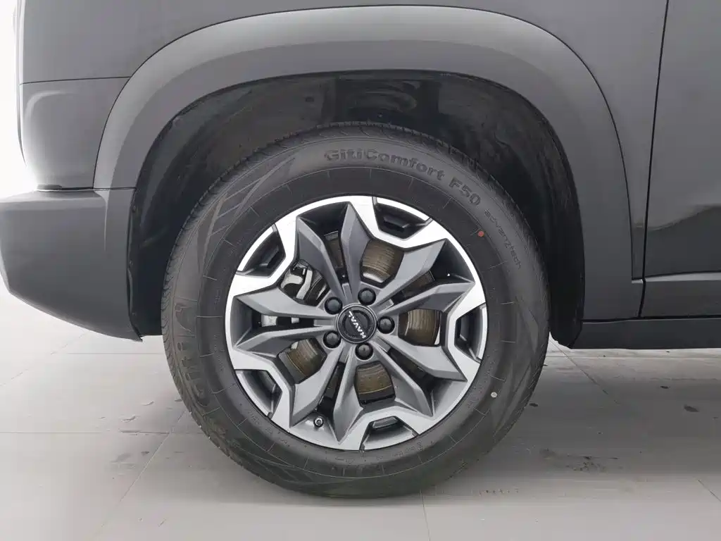 Haval Big Dog — миниатюра 17