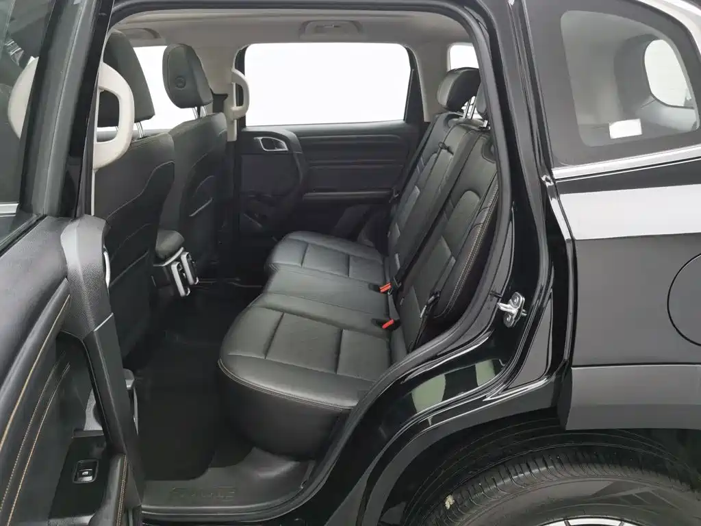 Haval Big Dog — миниатюра 15