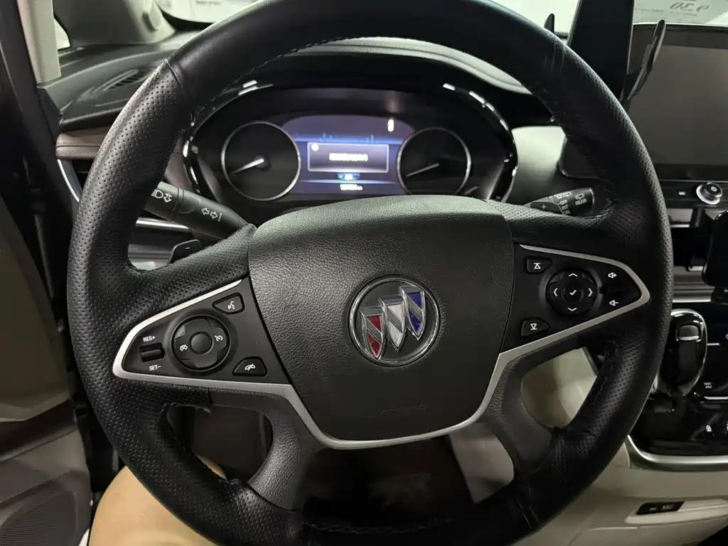 Buick GL8 — миниатюра 10