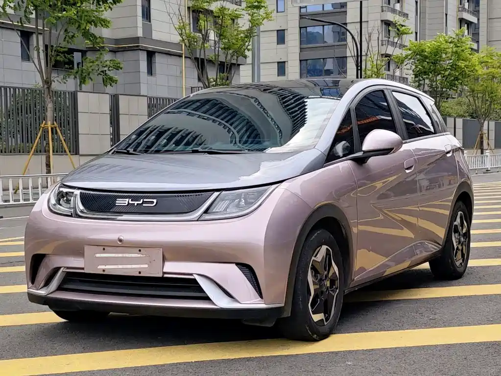 Byd Dolphin 2022