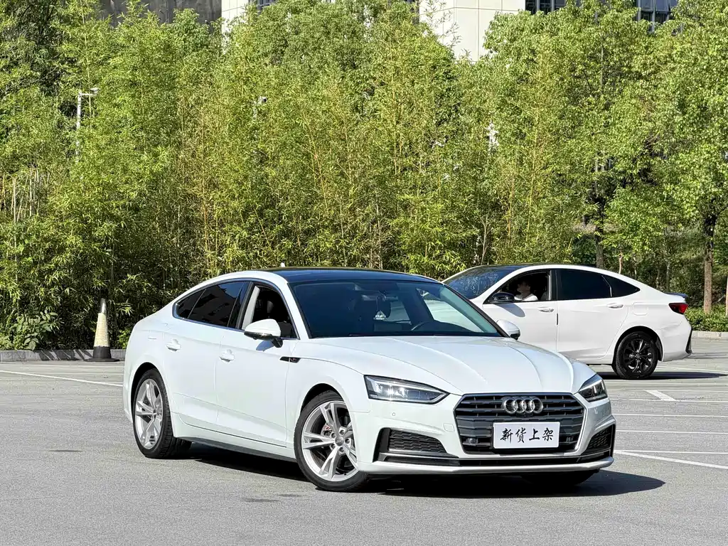 Audi A5 (Import) — миниатюра 2