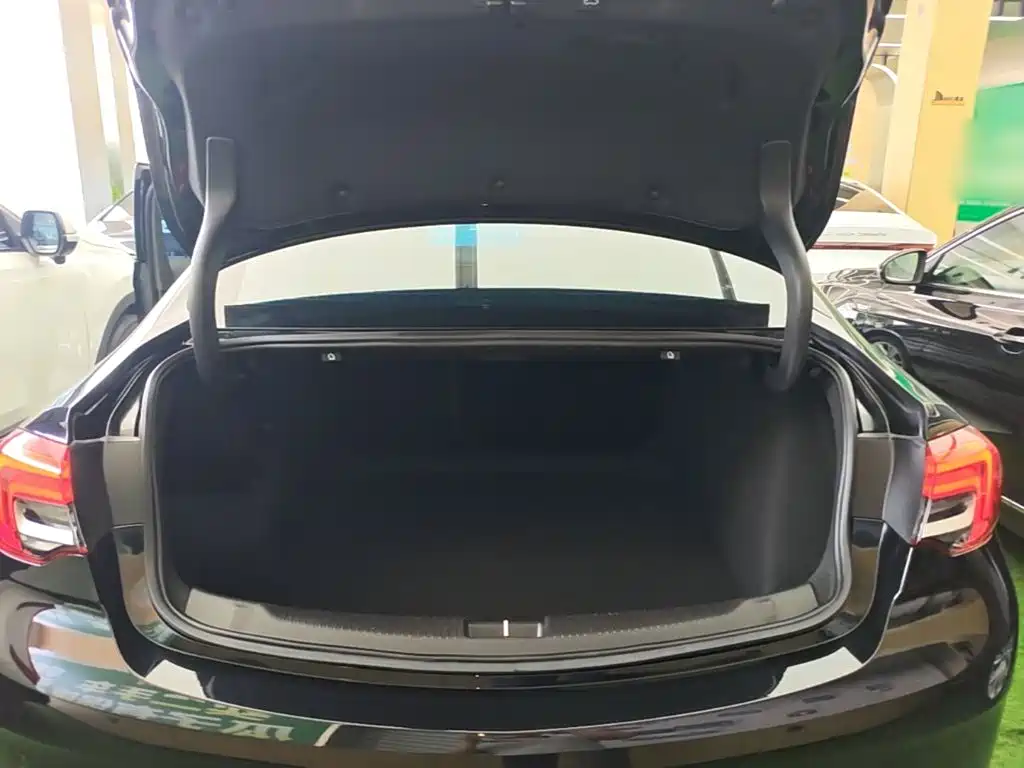Buick Regal — миниатюра 15