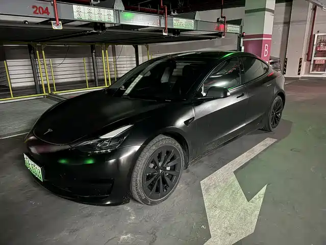 TESLA MODEL 3 2021