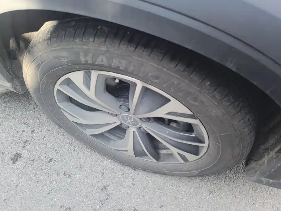 BYD Pro New Energy — миниатюра 6