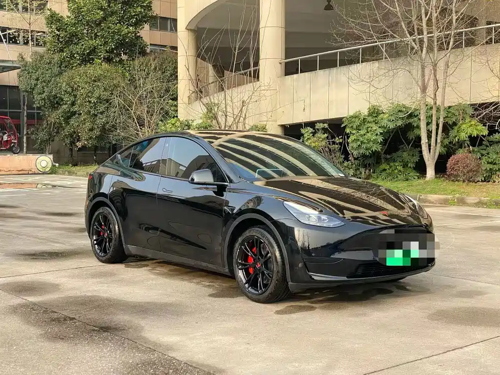 Tesla Model Y — миниатюра 3
