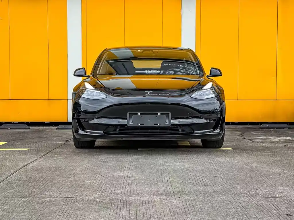 Tesla Model 3 2021 3D6