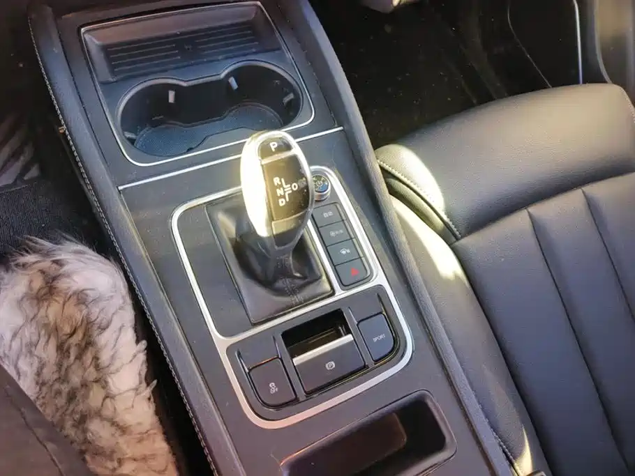 BYD MAX — миниатюра 16