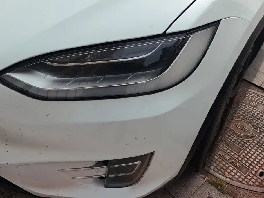 Tesla Model X — миниатюра 5