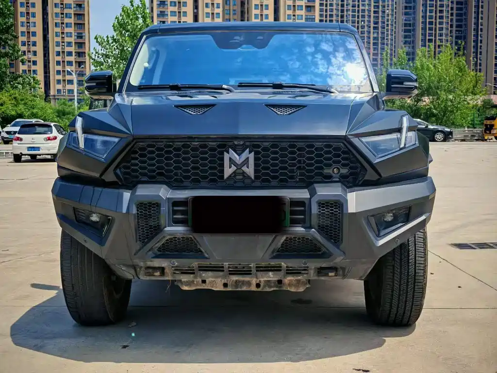 Mengshi Mengshi 917 — миниатюра 2