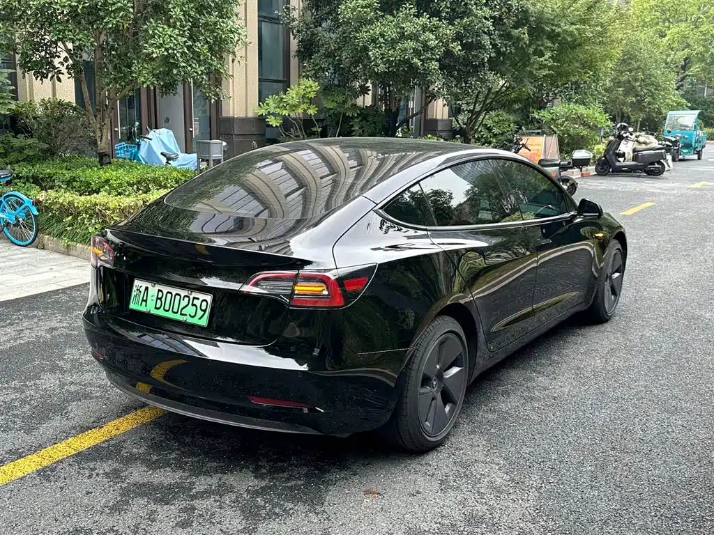 Tesla Model 3 — миниатюра 3