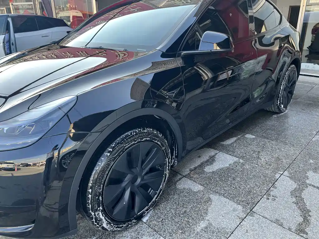 Tesla Model Y — миниатюра 3