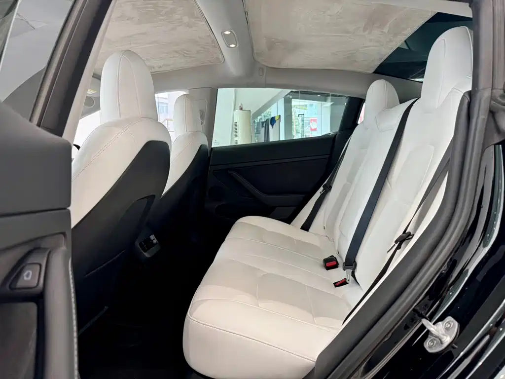 Tesla Model 3 — миниатюра 6