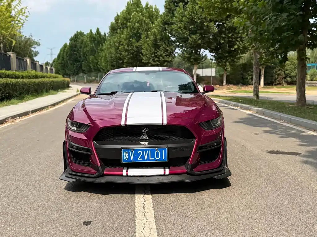 Ford Mustang — миниатюра 2