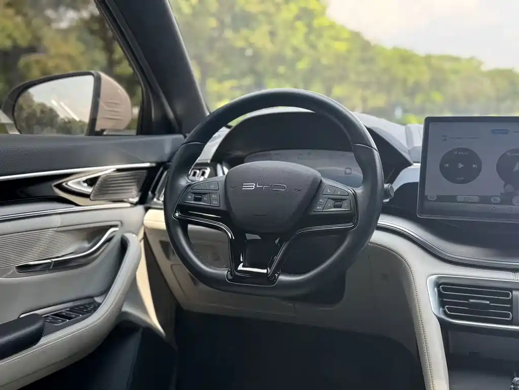 BYD PLUS New Energy — миниатюра 13
