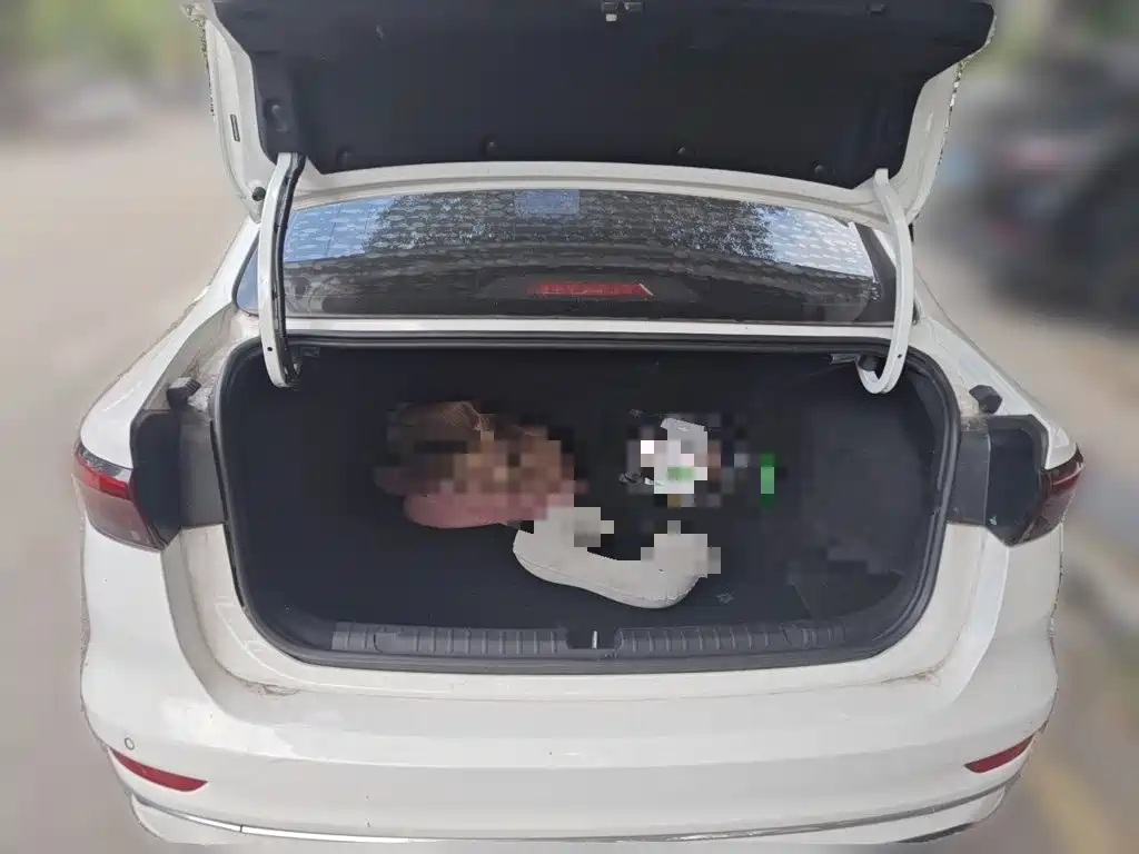 Geely Emgrand — миниатюра 20