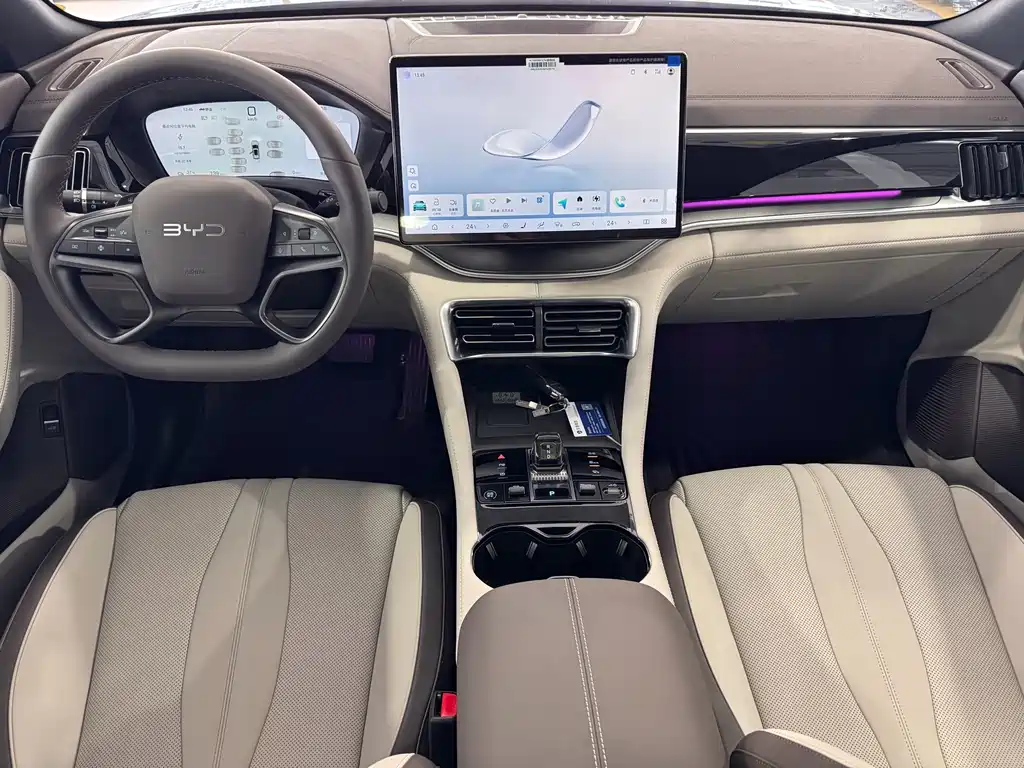 BYD PLUS New Energy — миниатюра 11