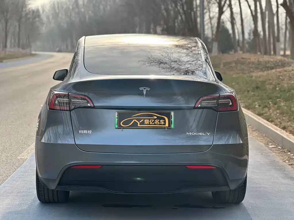 TESLA MODEL Y