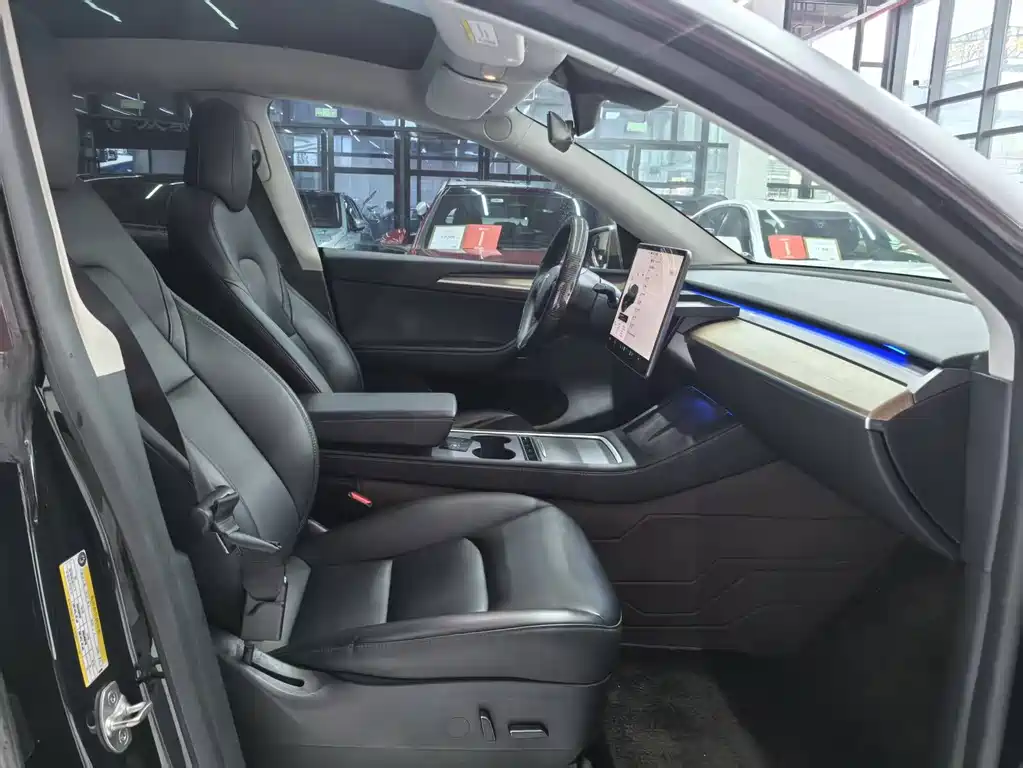 Tesla Model Y — миниатюра 9