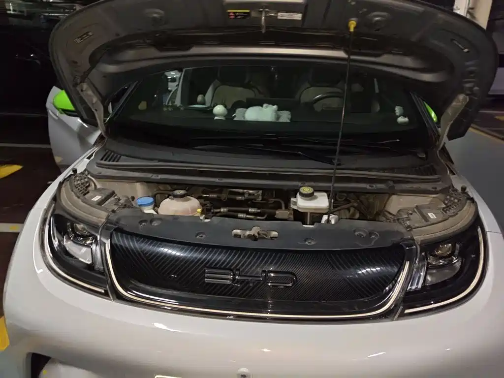 BYD Dolphin — миниатюра 21