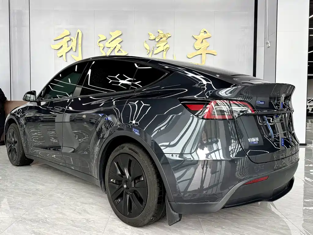 Tesla Model Y — миниатюра 13