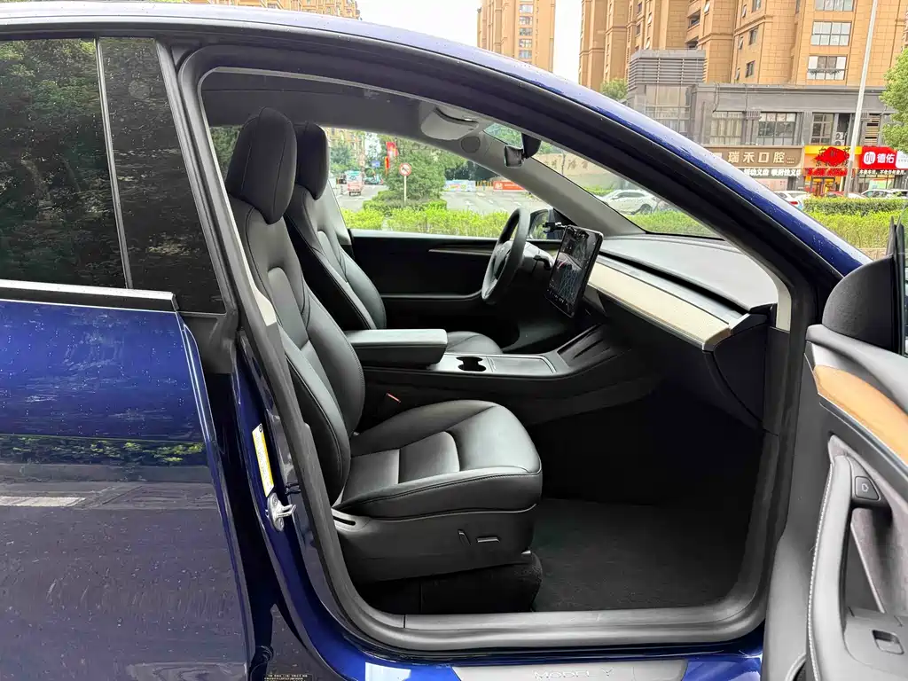 Tesla Model Y — миниатюра 11