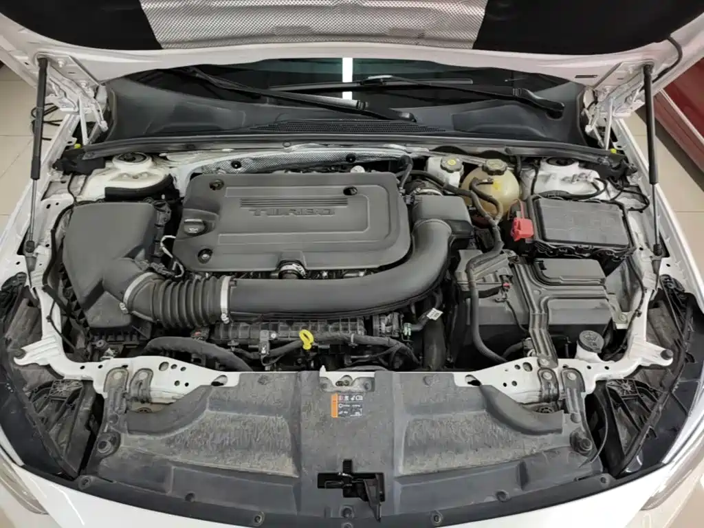 Buick Regal — миниатюра 20