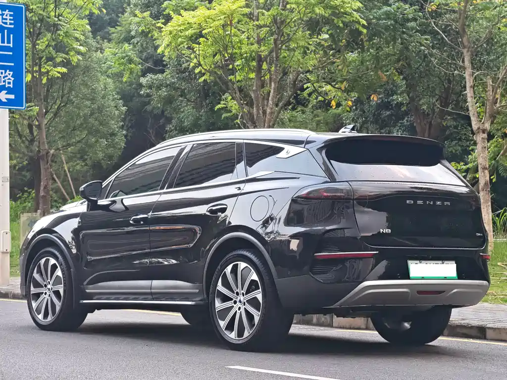 Denza Denza N8 — миниатюра 3