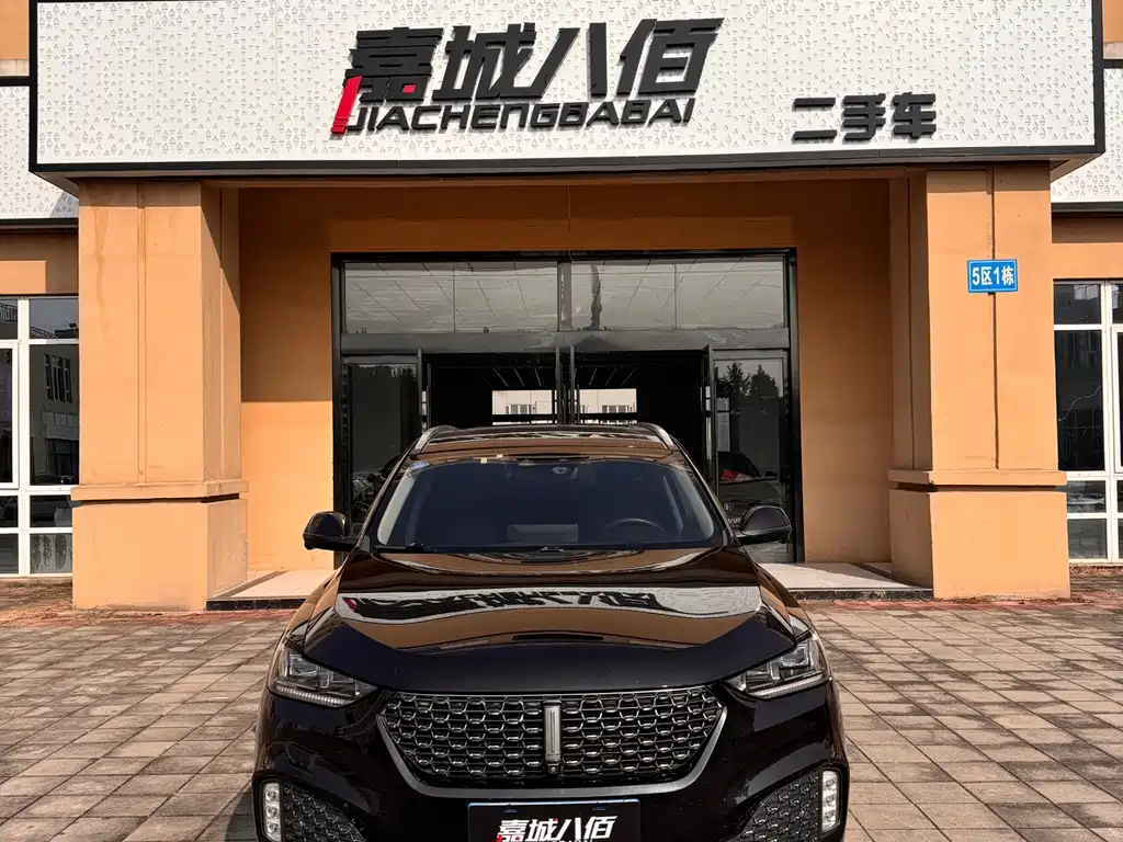 WEI PAI WEI BRAND VV6