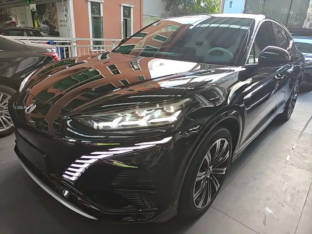 Denza Denza N7 — миниатюра 2