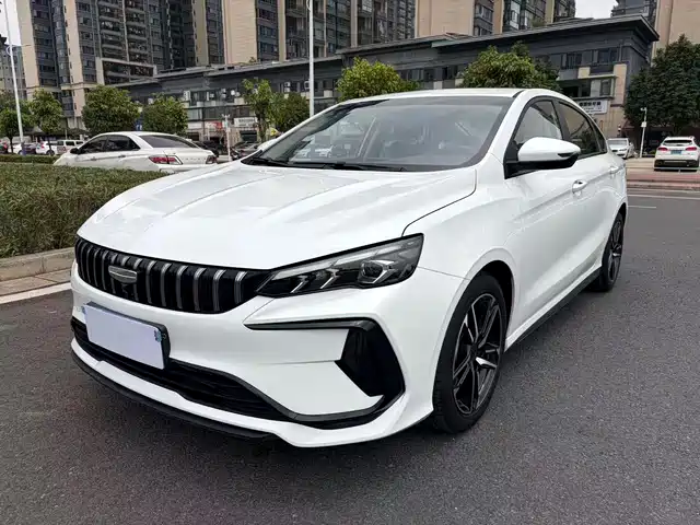2024 Geely Binrui